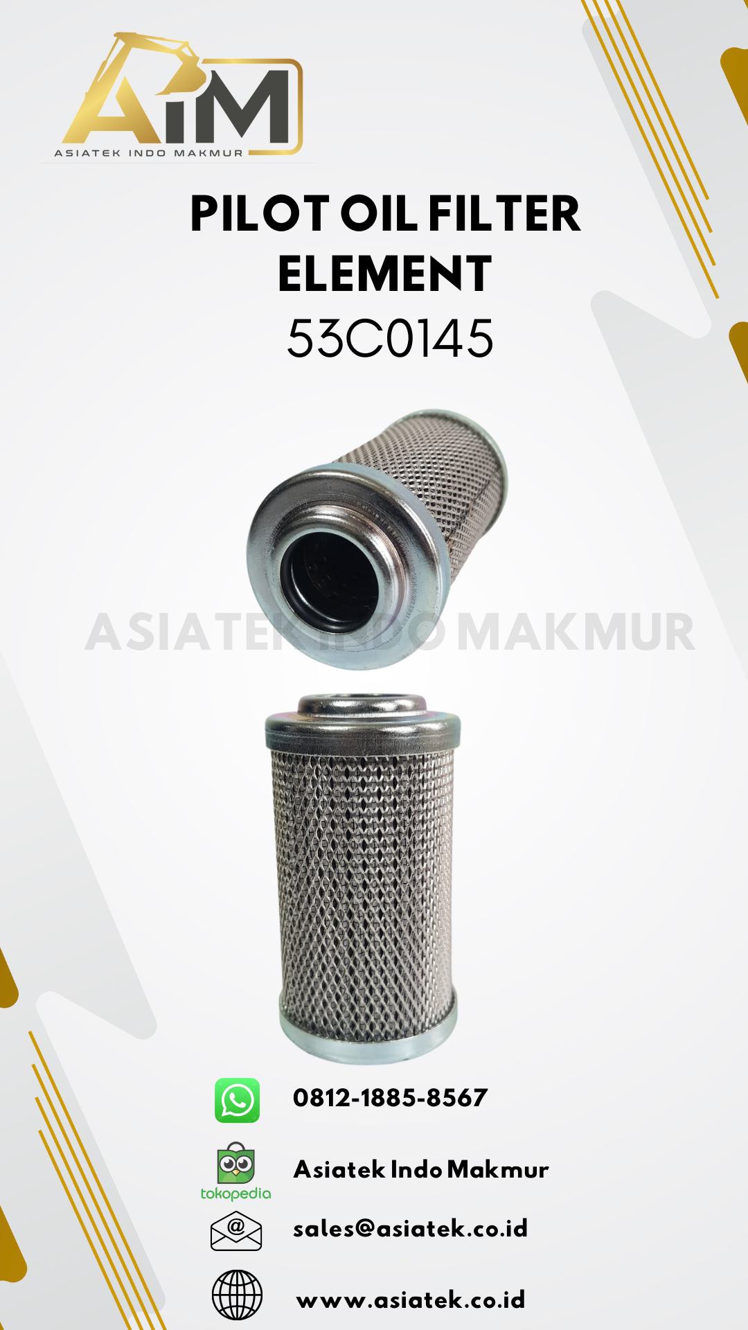 PILOT OIL FILTER ELEMENT (53C015)
